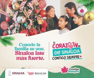 ges 2025 dif diciembre