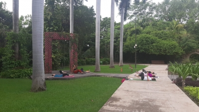 EDITORIAL: La opacidad en el Jard&iacute;n Bot&aacute;nico