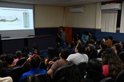 Investigador de la UAS revela nuevos datos sobre la culicifauna; actualizan lista de especies de mosquitos en Sinaloa